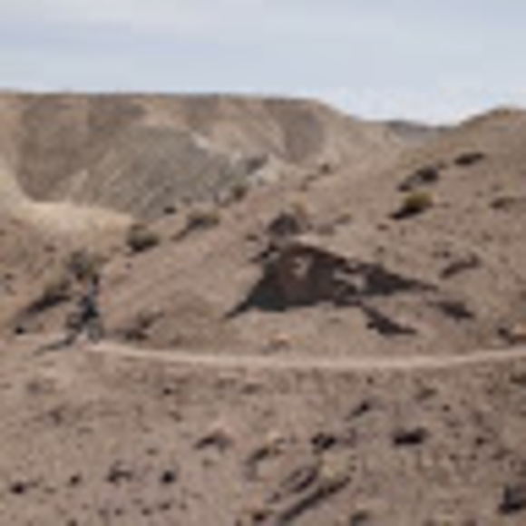 Meet your Posher, Janina - Picture 1 of 1